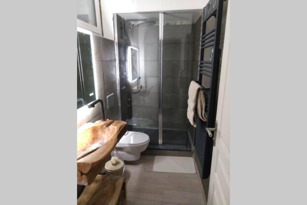 Chaleureux Petit Appartement De 4 Couchages Saint-Étienne-de-Tinée 외부 사진
