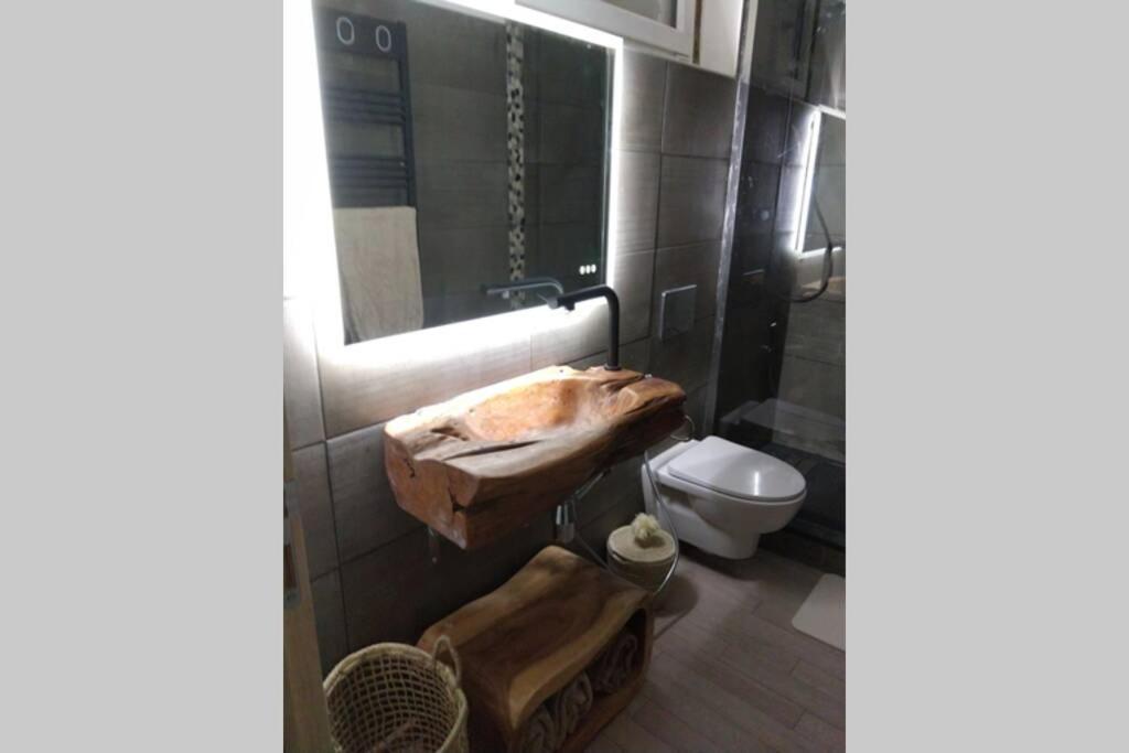 Chaleureux Petit Appartement De 4 Couchages Saint-Étienne-de-Tinée 외부 사진
